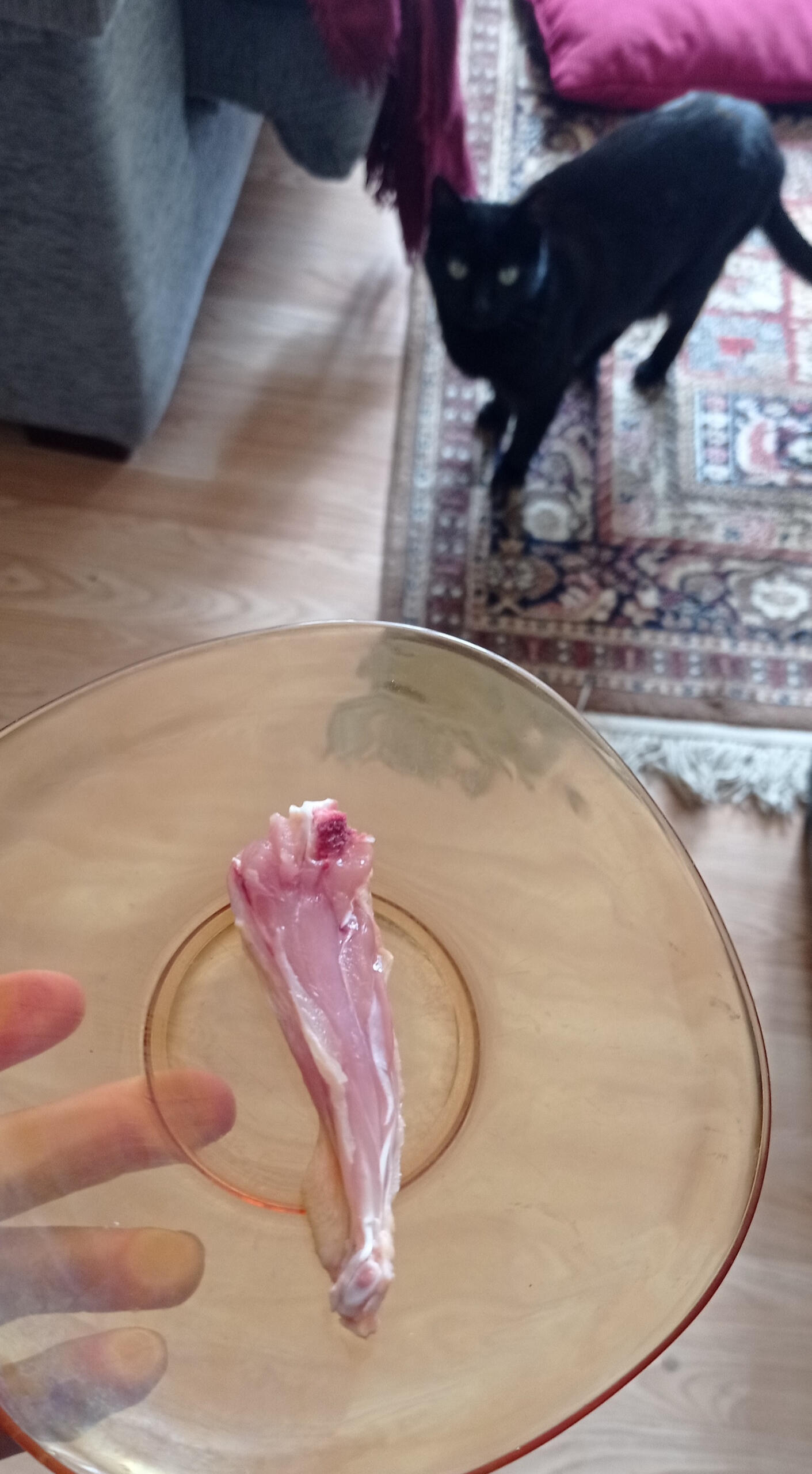 Un trozo de alita de pollo para comer (abril de 2025)