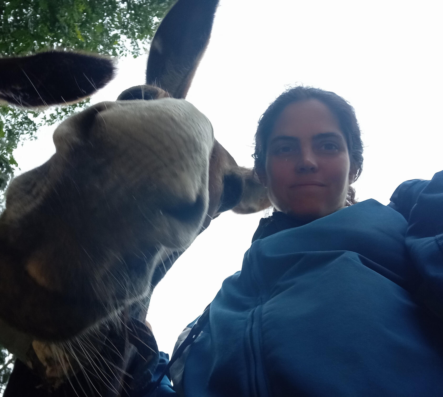 Yo con un amigo de Aralar (julio de 2024) y la burra delante pa que no se espante